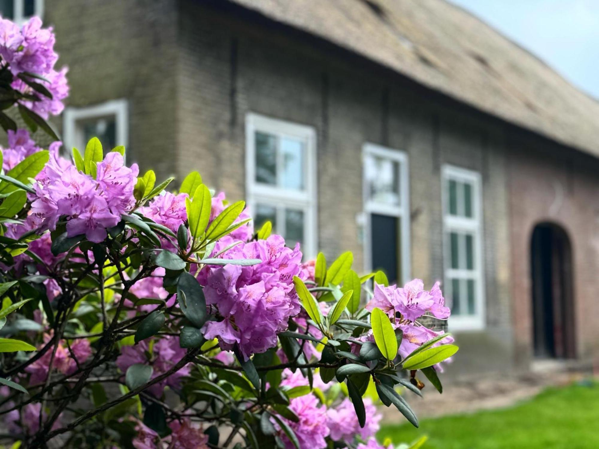 Het Hoevehuys Wagenberg Екстериор снимка